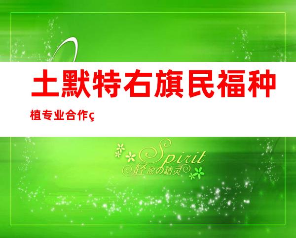 土默特右旗民福种植专业合作社